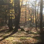 Mit Wellnessbereich In * 엘렌트