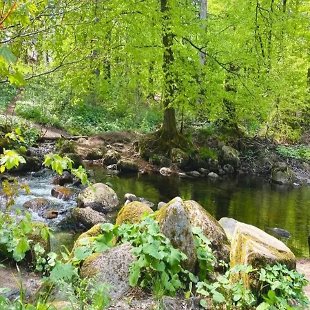 Flucht Ins Herz Von 別荘 エーレント