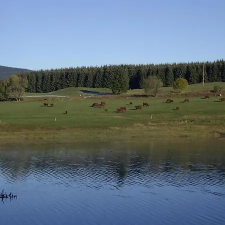 Mit Wellnessbereich In 別荘 エーレント