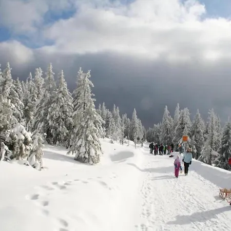 Mit Wellnessbereich In * エーレント