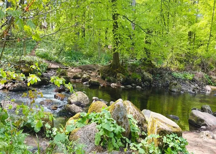 Mit Wellnessbereich In 別荘 エーレント