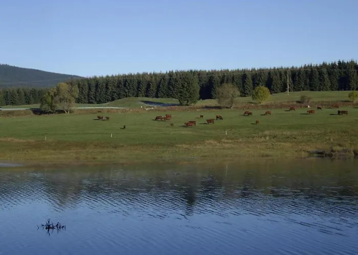 Mit Wellnessbereich In 別荘 エーレント