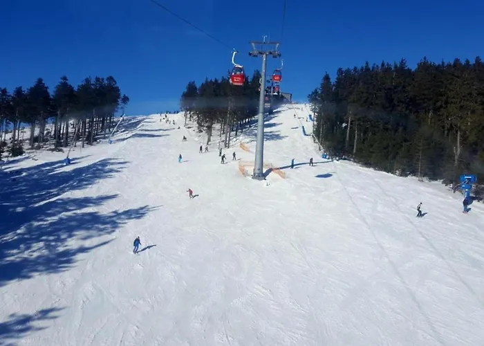 Mit Wellnessbereich In 別荘 *