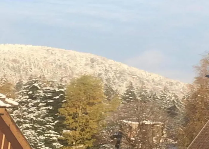 別荘 Mit Wellnessbereich In *