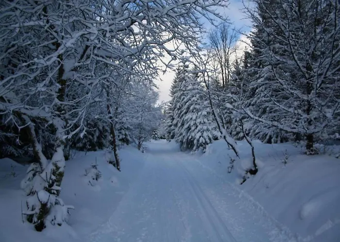 Mit Wellnessbereich In *