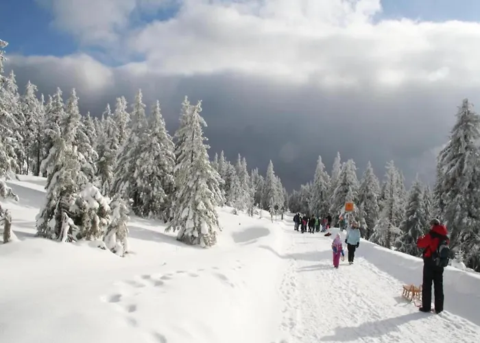 Mit Wellnessbereich In * エーレント