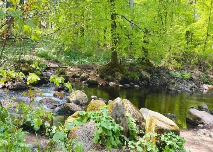 Mit Wellnessbereich In 別荘 *