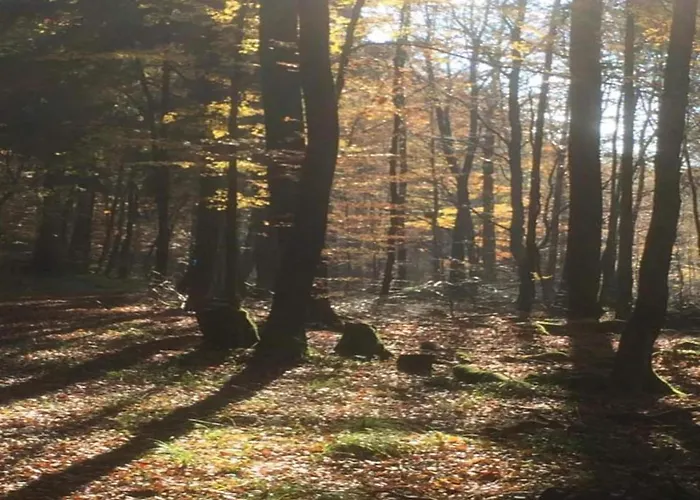 Mit Wellnessbereich In * エーレント